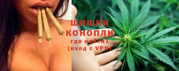 2c-b Бородино