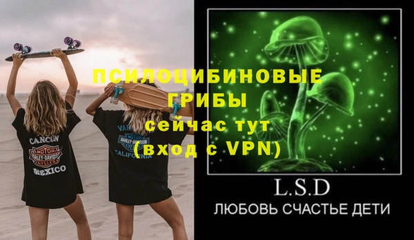 2c-b Бородино