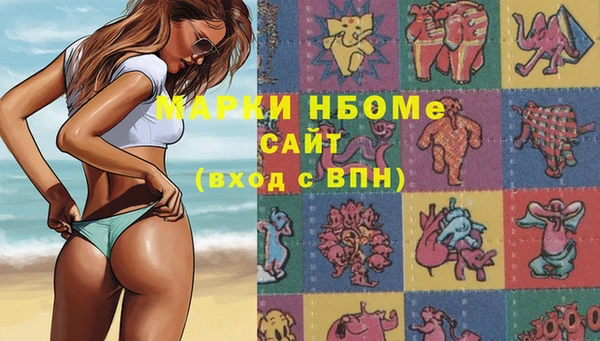 2c-b Бородино